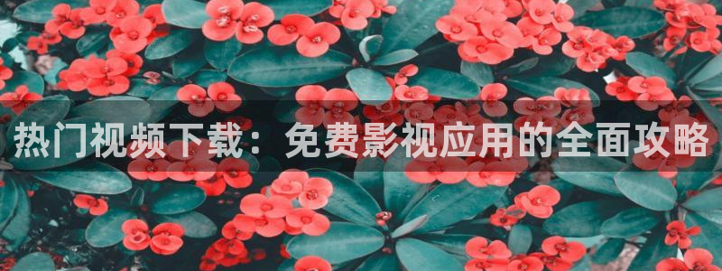 飘零电影p2100：热门视频下载：免费影视应用的全面攻略