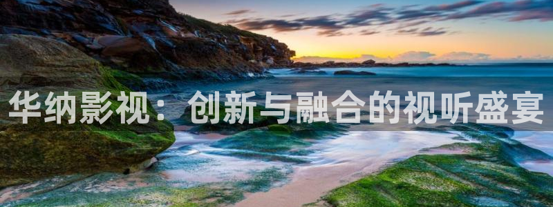 飘零影视：华纳影视：创新与融合的视听盛宴