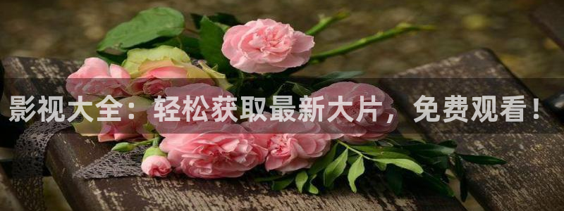 飘零影院理论片：影视大全：轻松获取最新大片，免费观看！