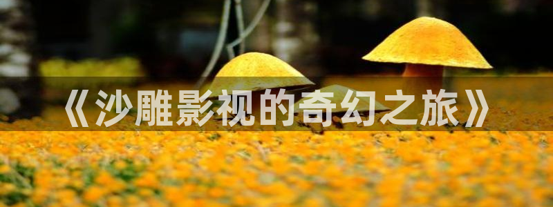 ppypp飘零影院：《沙雕影视的奇幻之旅》