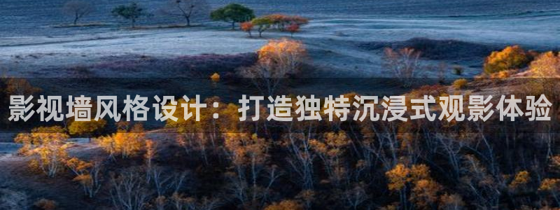 飘零影院理论：影视墙风格设计：打造独特沉浸式观影体验