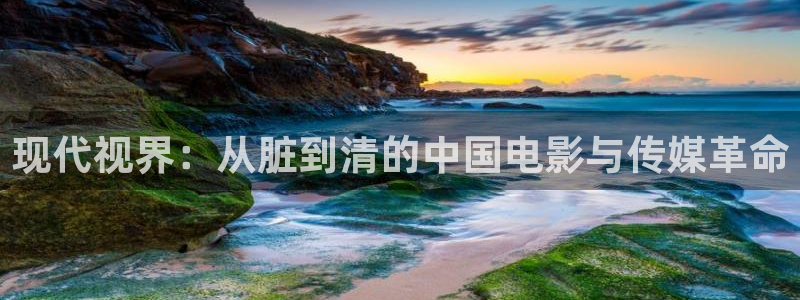 飘零影院网站：现代视界：从脏到清的中国电影与传媒革命