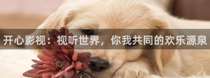 神马飘零影院：开心影视：视听世界，你我共同的欢乐源泉