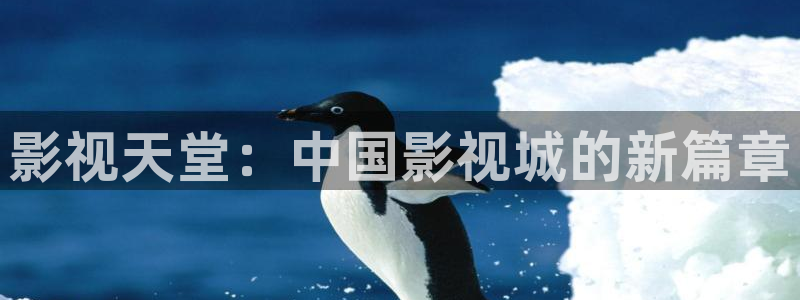 飘零影院电影在线观看：影视天堂：中国影视城的新篇章
