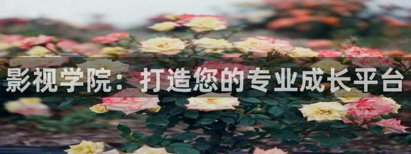 飘零电影韩国免费观看：影视学院：打造您的专业成长平台