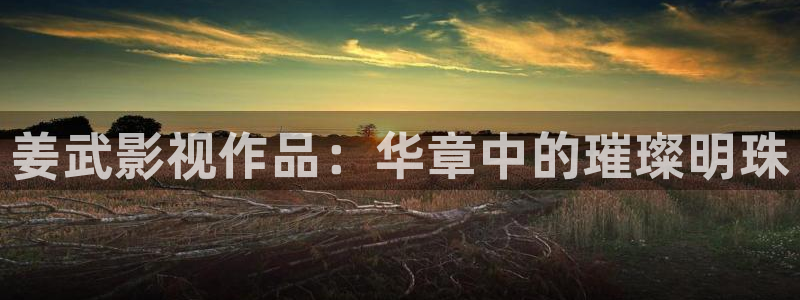 飘零影院免费电视剧：姜武影视作品：华章中的璀璨明珠