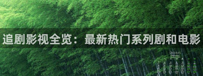 飘零网在线观看免费完整版电影：追剧影视全览：最新热门系列剧和电影