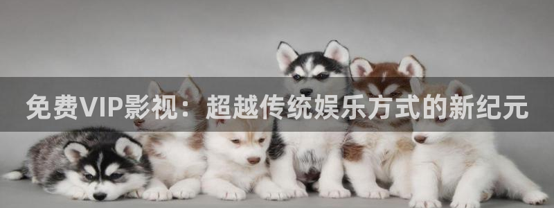 飘零影院最新电影：免费VIP影视：超越传统娱乐方式的新纪元