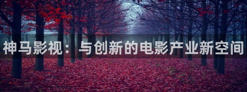 秋霞飘零影院：神马影视：与创新的电影产业新空间