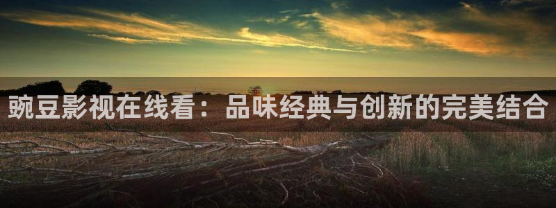 飘零影院免费看电影：豌豆影视在线看：品味经典与创新的完美结合